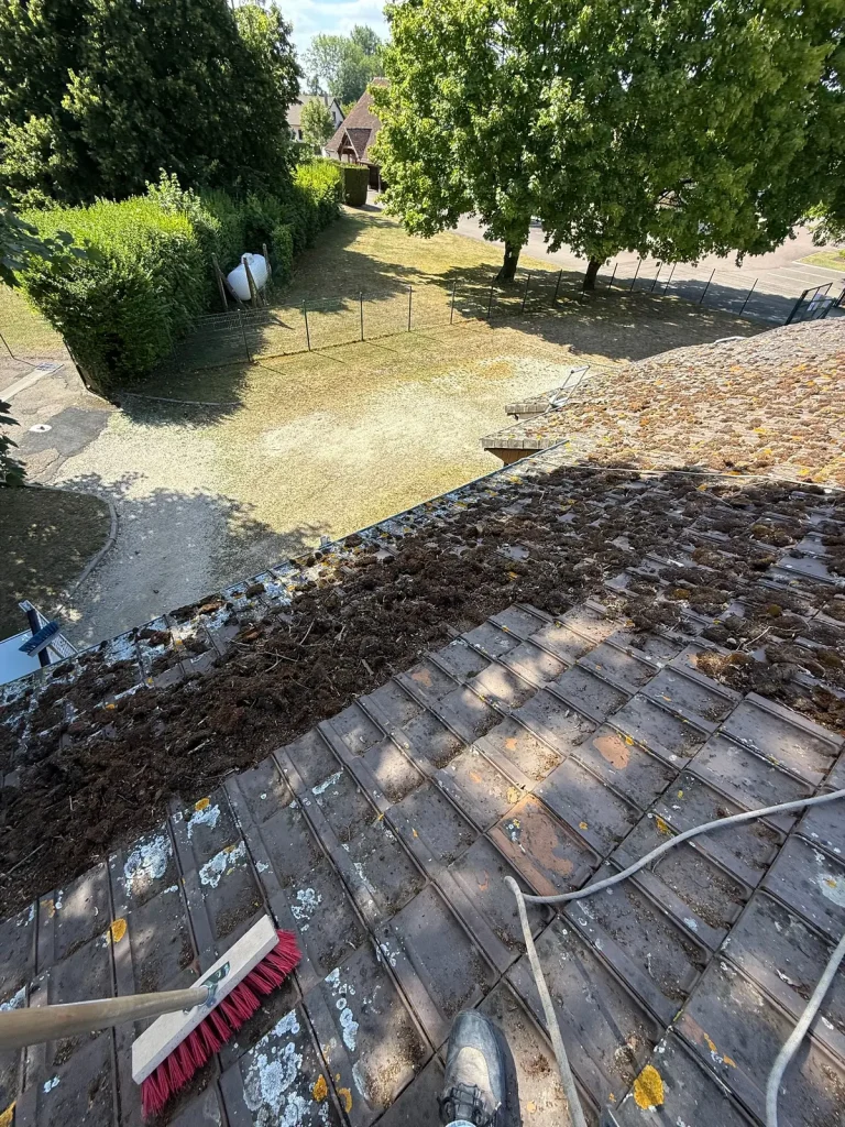 Retrait manuel d’une importante quantité de mousse sur une toiture en tuiles