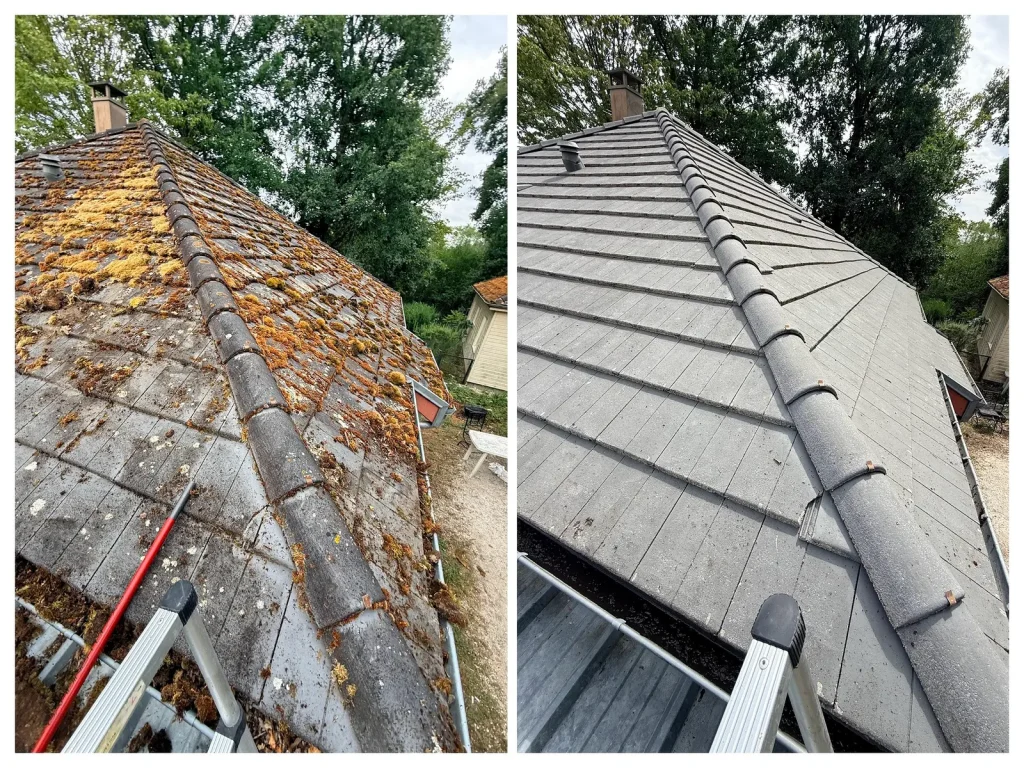 Comparaison avant et après le nettoyage vapeur d’une toiture à Ervy-le-Châtel
