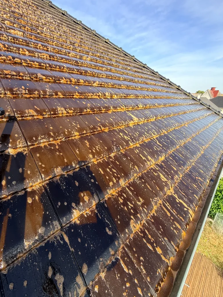 Application d’un traitement fongicide à action lente sur une toiture en tuiles
